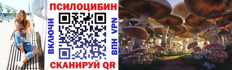 купить   Темрюк  OMG зеркало  Псилоцибиновые грибы Psilocybe 